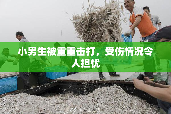 小男生被重重击打，受伤情况令人担忧