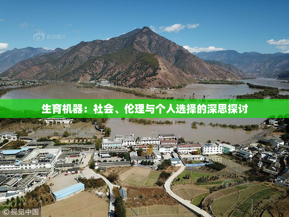 生育机器：社会、伦理与个人选择的深思探讨