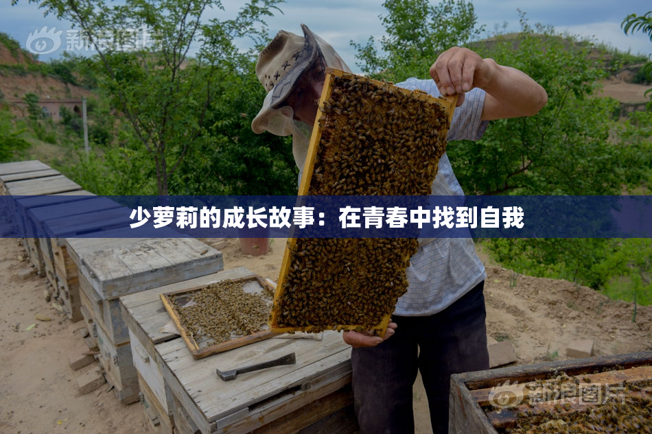 少萝莉的成长故事：在青春中找到自我