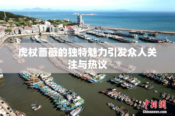 虎杖蔷薇的独特魅力引发众人关注与热议