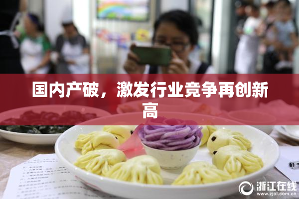 国内产破，激发行业竞争再创新高