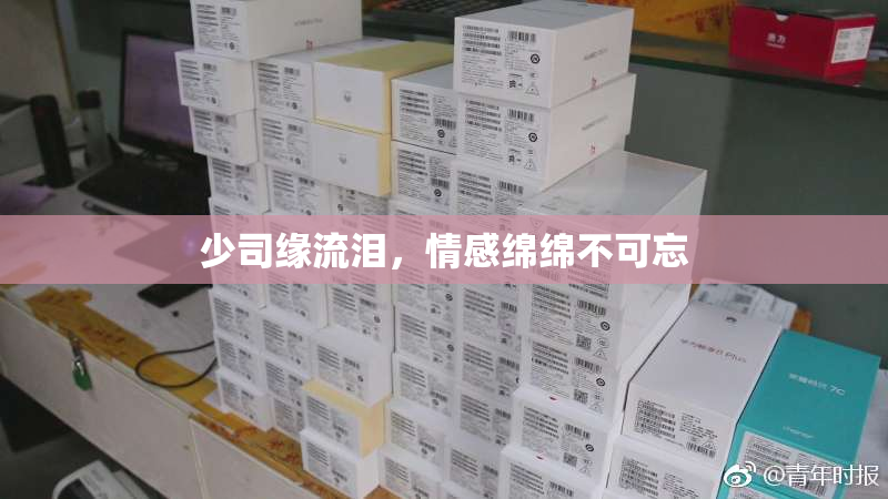 少司缘流泪，情感绵绵不可忘