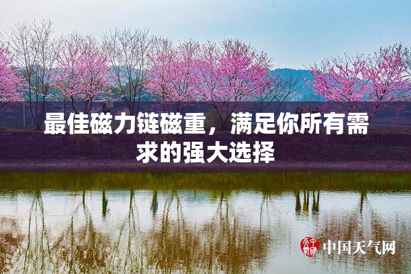 最佳磁力链磁重，满足你所有需求的强大选择