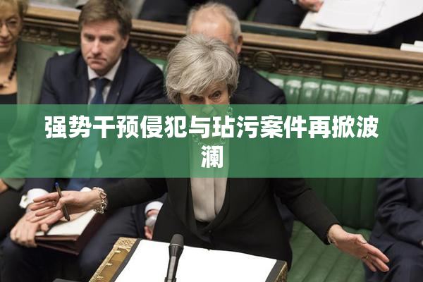 强势干预侵犯与玷污案件再掀波澜