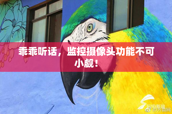 乖乖听话，监控摄像头功能不可小觑！