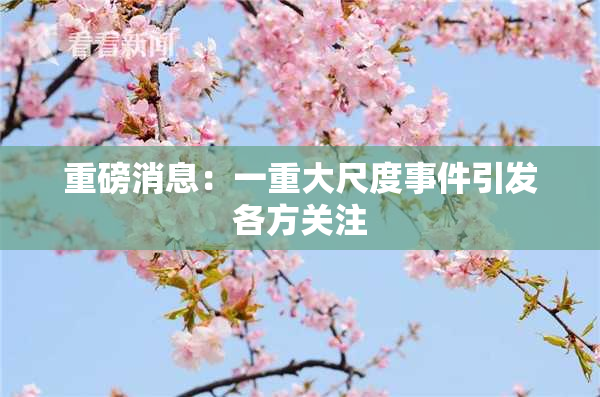 重磅消息：一重大尺度事件引发各方关注