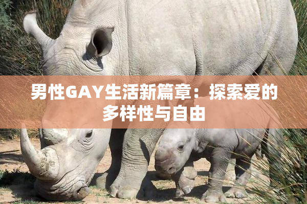 男性GAY生活新篇章：探索爱的多样性与自由