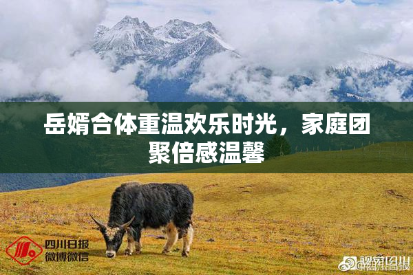 岳婿合体重温欢乐时光，家庭团聚倍感温馨