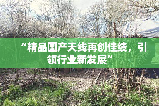 “精品国产天线再创佳绩，引领行业新发展”