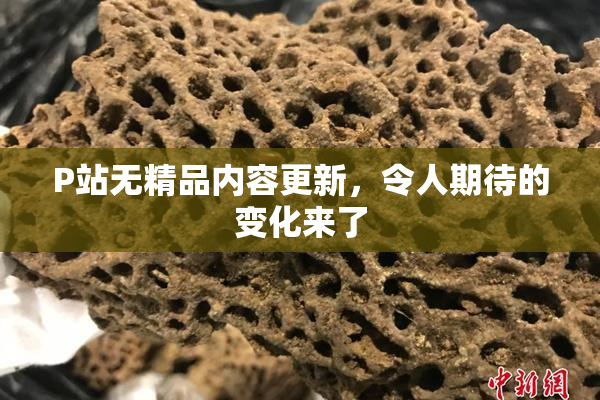 P站无精品内容更新，令人期待的变化来了