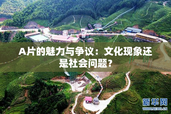 A片的魅力与争议：文化现象还是社会问题？