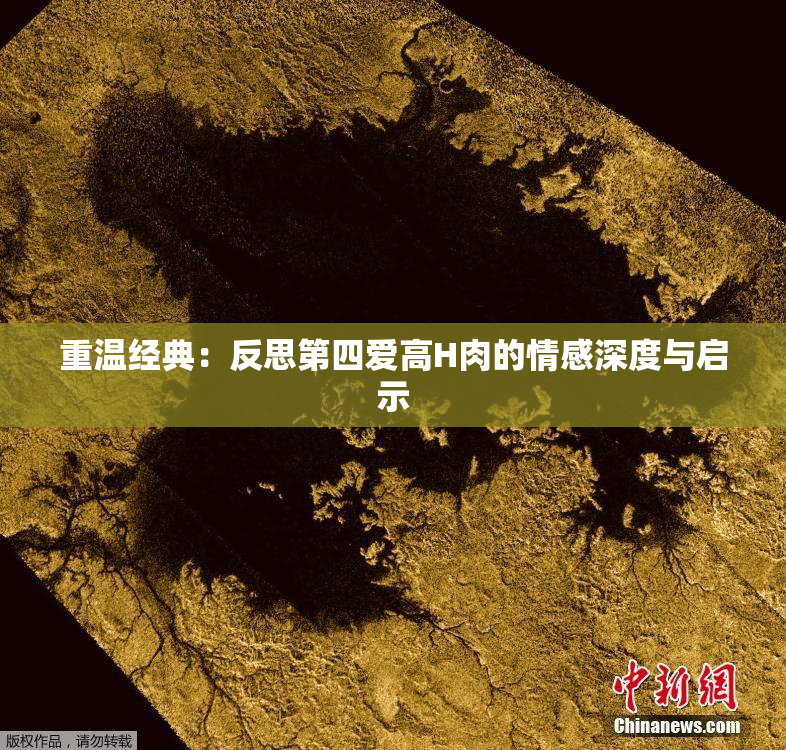 重温经典：反思第四爱高H肉的情感深度与启示