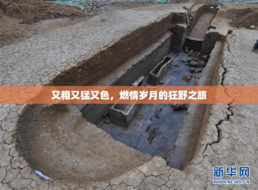 又粗又猛又色，燃情岁月的狂野之旅