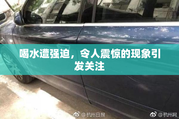 喝水遭强迫，令人震惊的现象引发关注