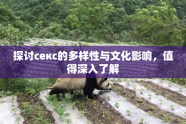 探讨секс的多样性与文化影响，值得深入了解