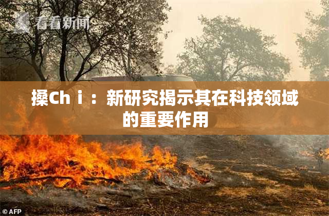 搡Chⅰ：新研究揭示其在科技领域的重要作用