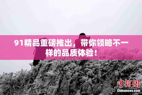 91精品重磅推出，带你领略不一样的品质体验！