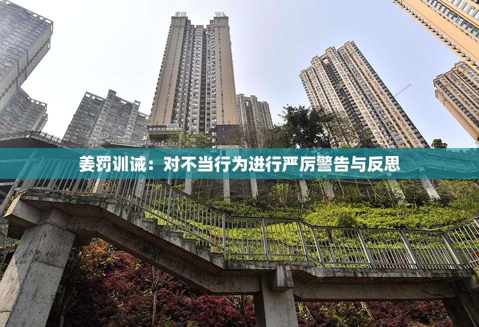 姜罚训诫：对不当行为进行严厉警告与反思