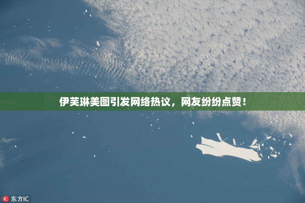 伊芙琳美图引发网络热议，网友纷纷点赞！