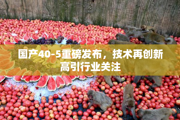 国产40-5重磅发布，技术再创新高引行业关注