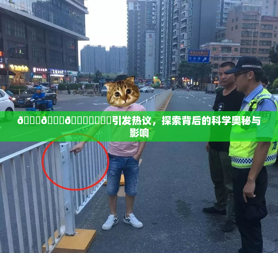 🍆🍑🔞❌‌❌‌引发热议，探索背后的科学奥秘与影响
