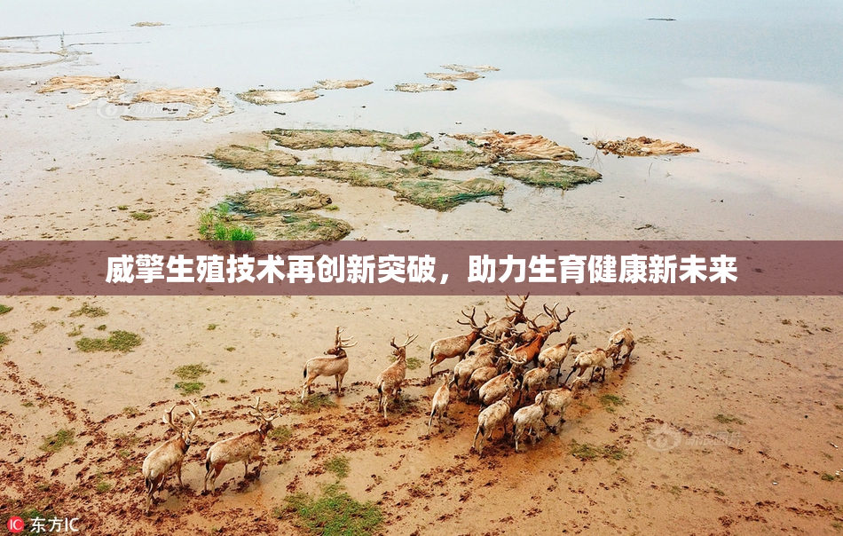 威擎生殖技术再创新突破，助力生育健康新未来