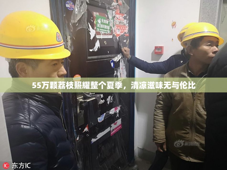 55万颗荔枝照耀整个夏季，清凉滋味无与伦比