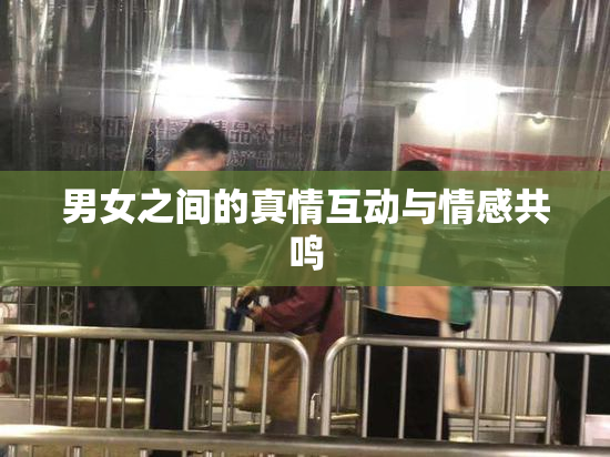 男女之间的真情互动与情感共鸣