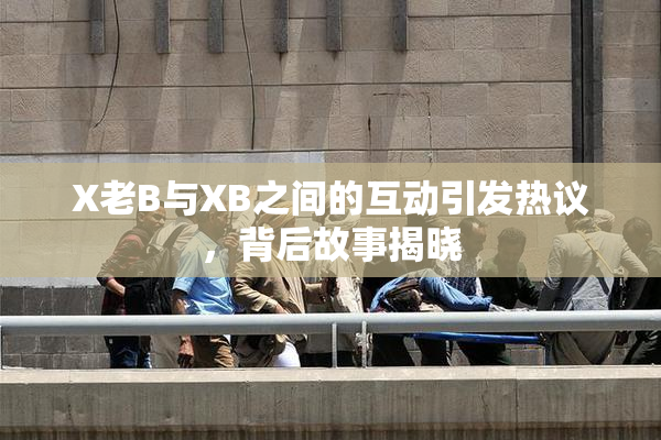 X老B与XB之间的互动引发热议，背后故事揭晓