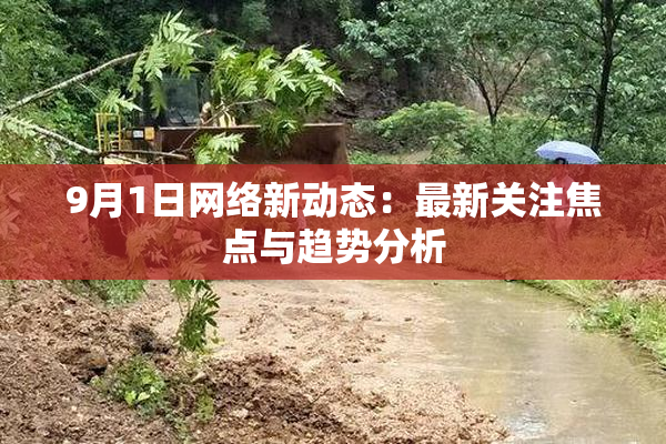 9月1日网络新动态：最新关注焦点与趋势分析