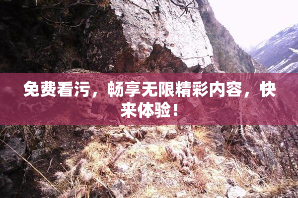 免费看污，畅享无限精彩内容，快来体验！