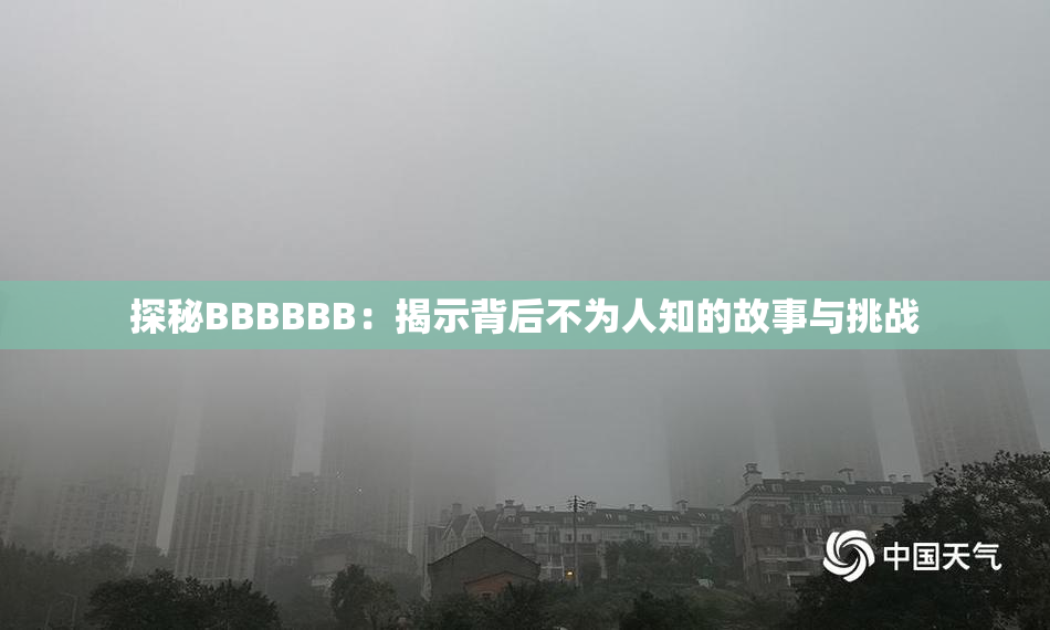 探秘BBBBBB：揭示背后不为人知的故事与挑战