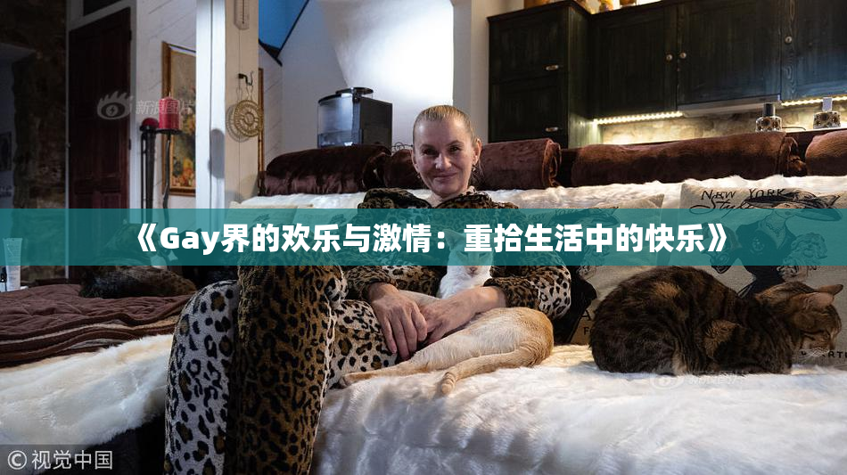 《Gay界的欢乐与激情：重拾生活中的快乐》