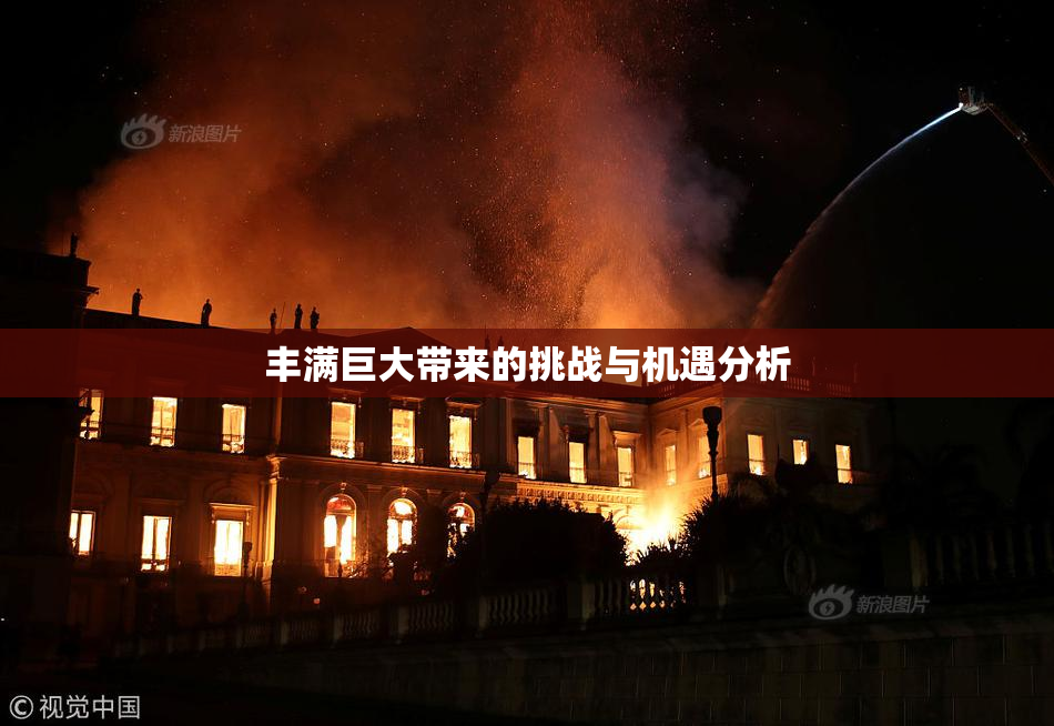 丰满巨大带来的挑战与机遇分析