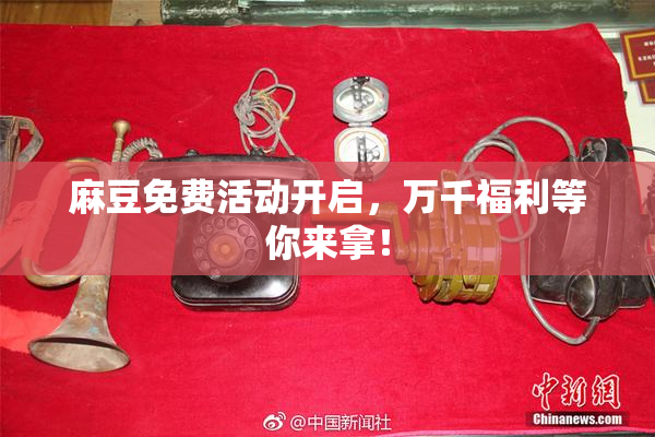 麻豆免费活动开启，万千福利等你来拿！