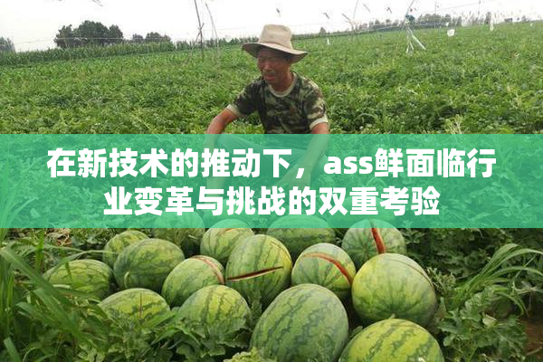 在新技术的推动下，ass鲜面临行业变革与挑战的双重考验