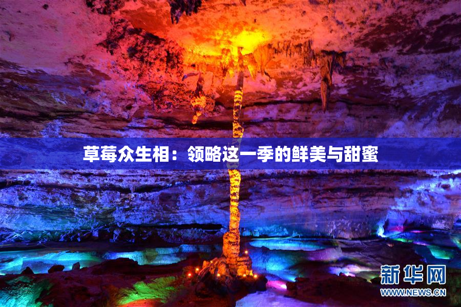 草莓众生相：领略这一季的鲜美与甜蜜