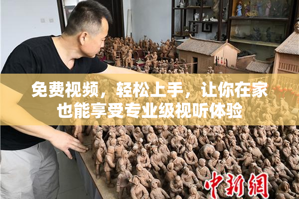 免费视频，轻松上手，让你在家也能享受专业级视听体验