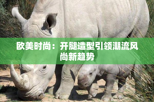 欧美时尚：开腿造型引领潮流风尚新趋势
