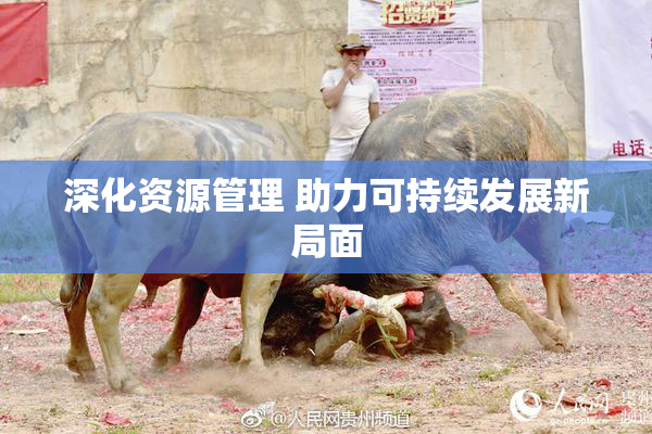 深化资源管理 助力可持续发展新局面