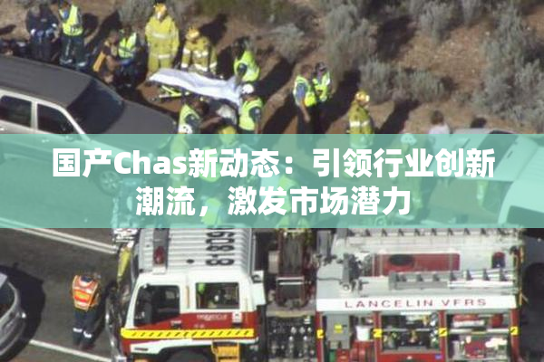 国产Chas新动态：引领行业创新潮流，激发市场潜力