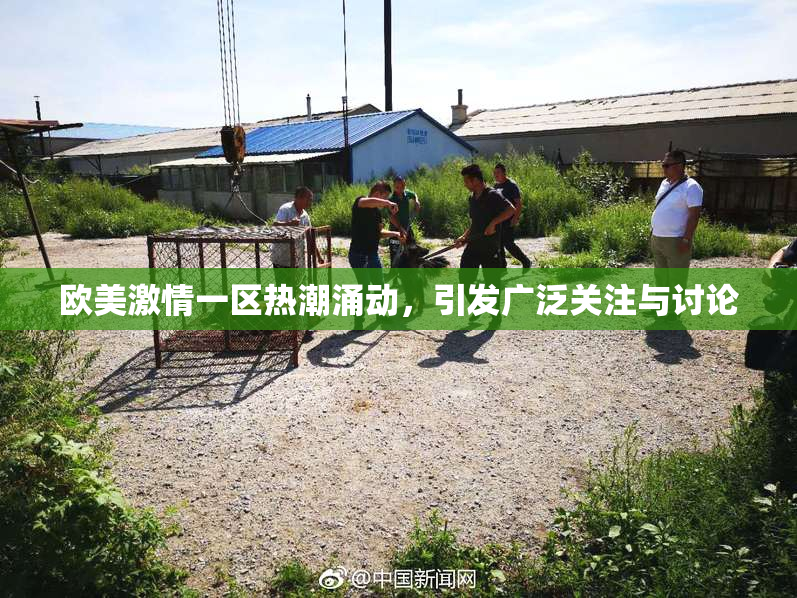 欧美激情一区热潮涌动，引发广泛关注与讨论