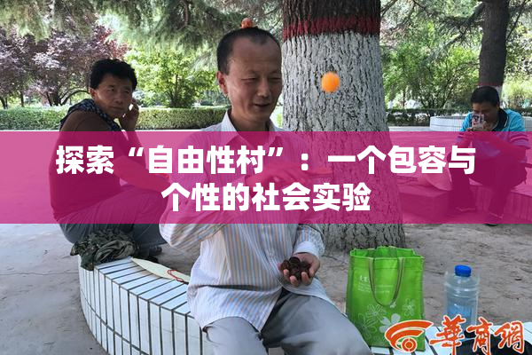 探索“自由性村”：一个包容与个性的社会实验
