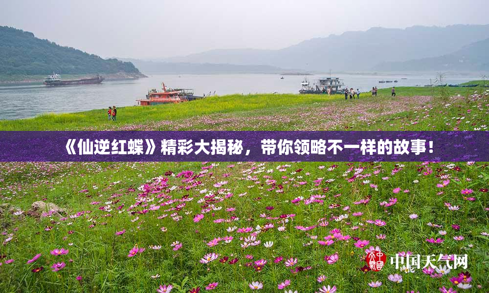 《仙逆红蝶》精彩大揭秘，带你领略不一样的故事！