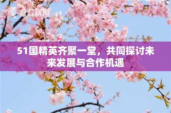 51国精英齐聚一堂，共同探讨未来发展与合作机遇