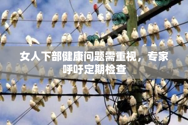 女人下部健康问题需重视，专家呼吁定期检查