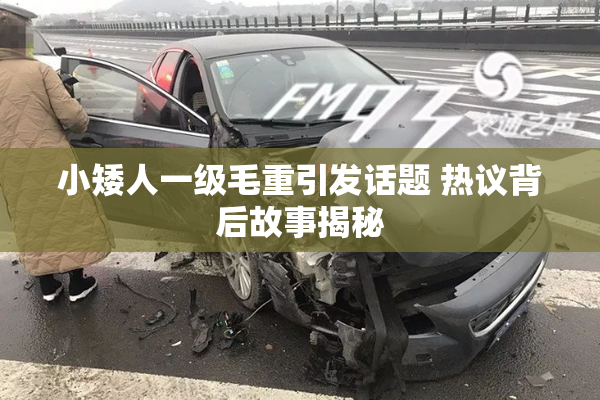 小矮人一级毛重引发话题 热议背后故事揭秘
