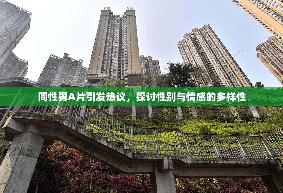 同性男A片引发热议，探讨性别与情感的多样性