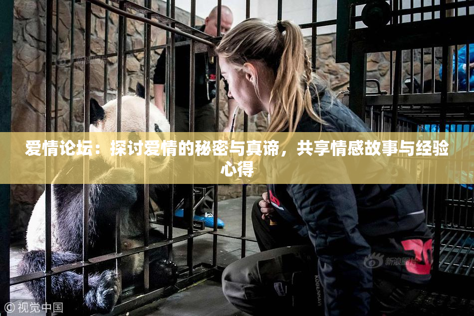 爱情论坛：探讨爱情的秘密与真谛，共享情感故事与经验心得