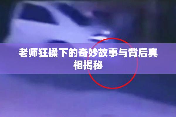 老师狂揉下的奇妙故事与背后真相揭秘